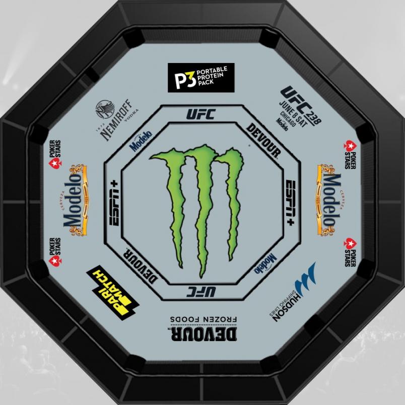 UFC 238 Official Octagon Canvas Partners Released UFC